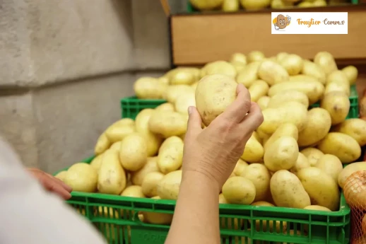 Aardappelkwekerij Moerbeke-Waas, Oost-Vlaanderen